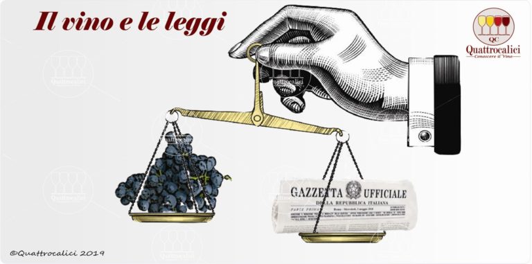 La legge e il vino, leggi e norme sul vino