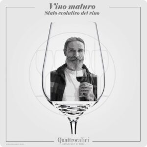 vino maturo