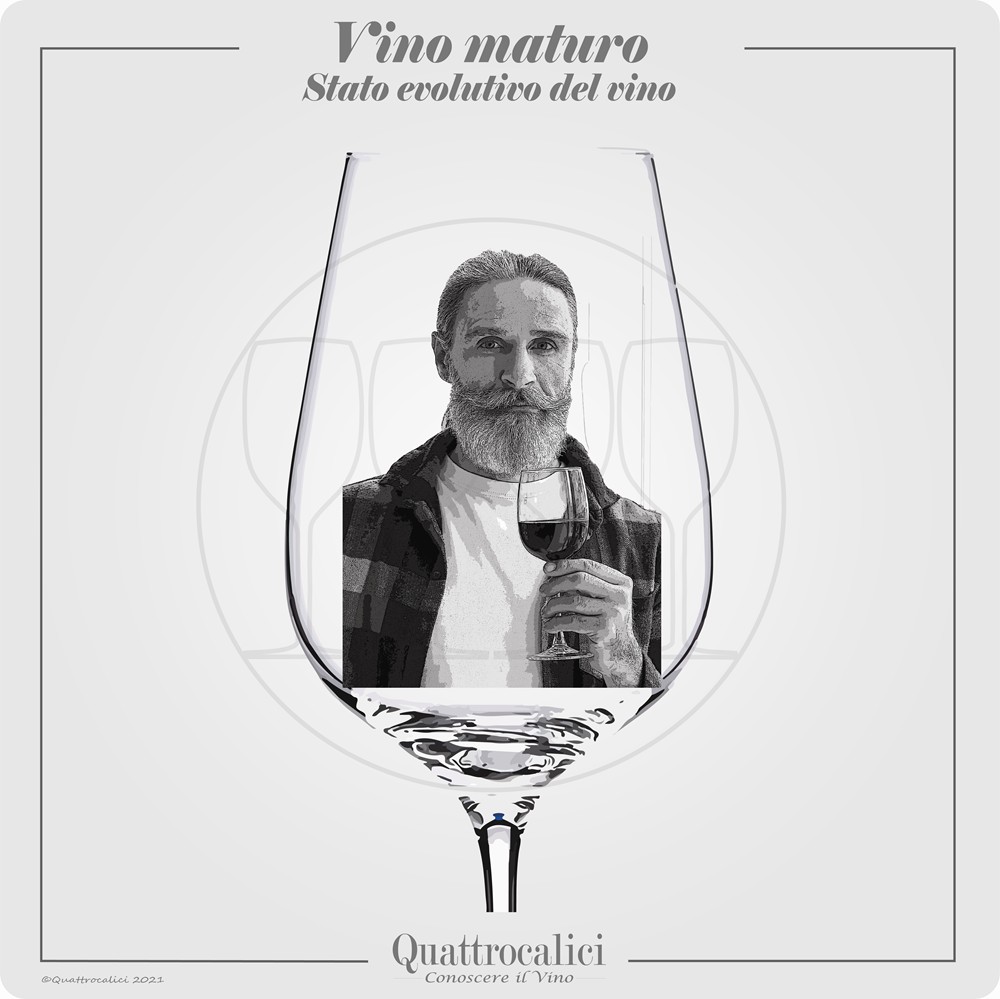 vino maturo