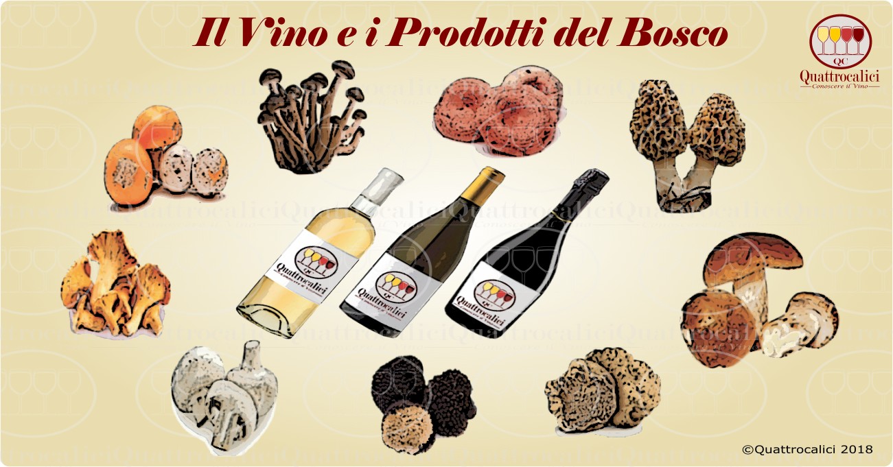 abbinamento vino con funghi e tartufi