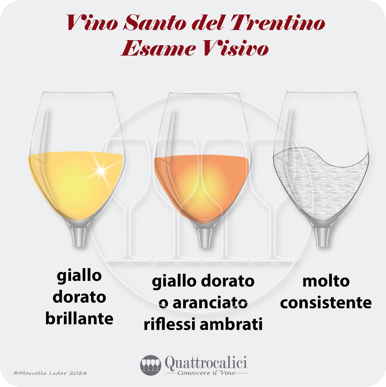 L'esame visivo del vino santo del trentino