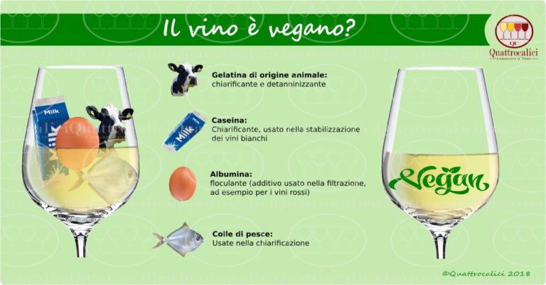 conoscere i vini vegani