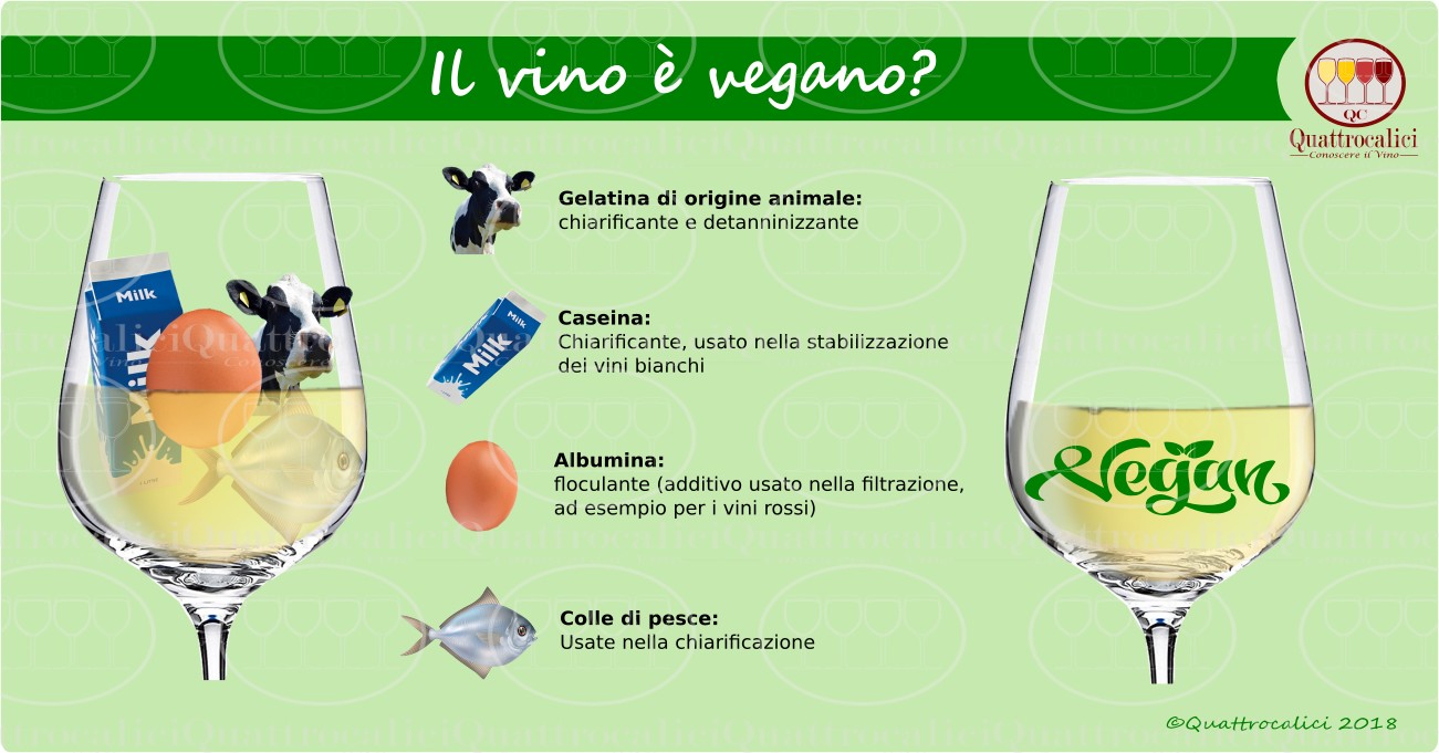 Perché il vino non è vegano?