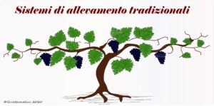 sistemi di allevamento tradizionali per la vit