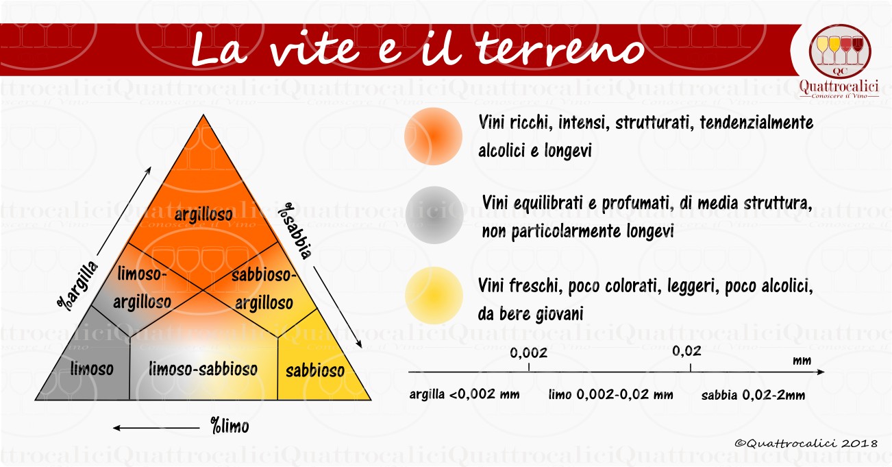 la vite e il terreno