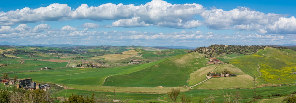 provincia viterbo vino