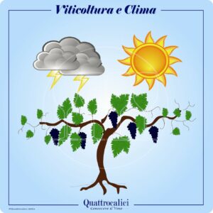 viticoltura e clima