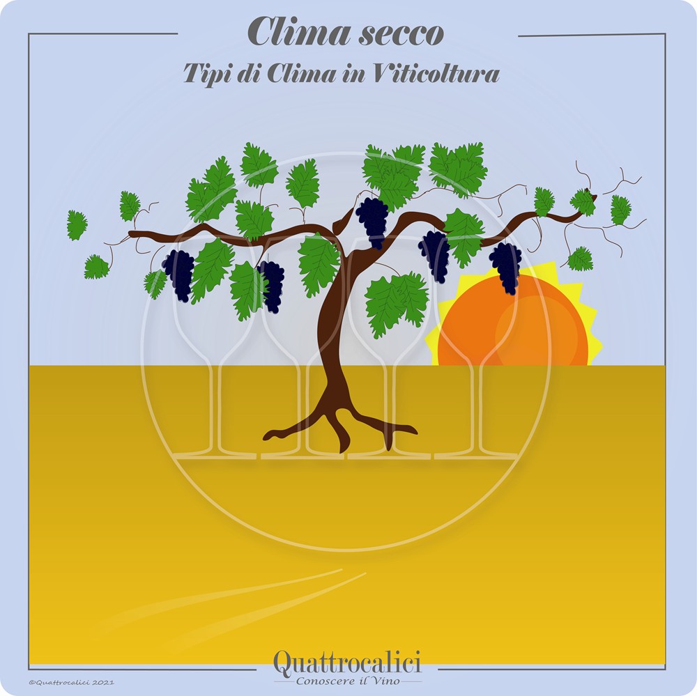 Clima secco in viticoltura