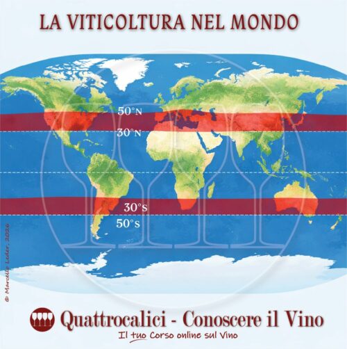 La Viticoltura nel Mondo