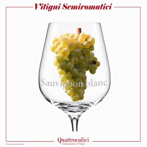 vitigni semiaromatici