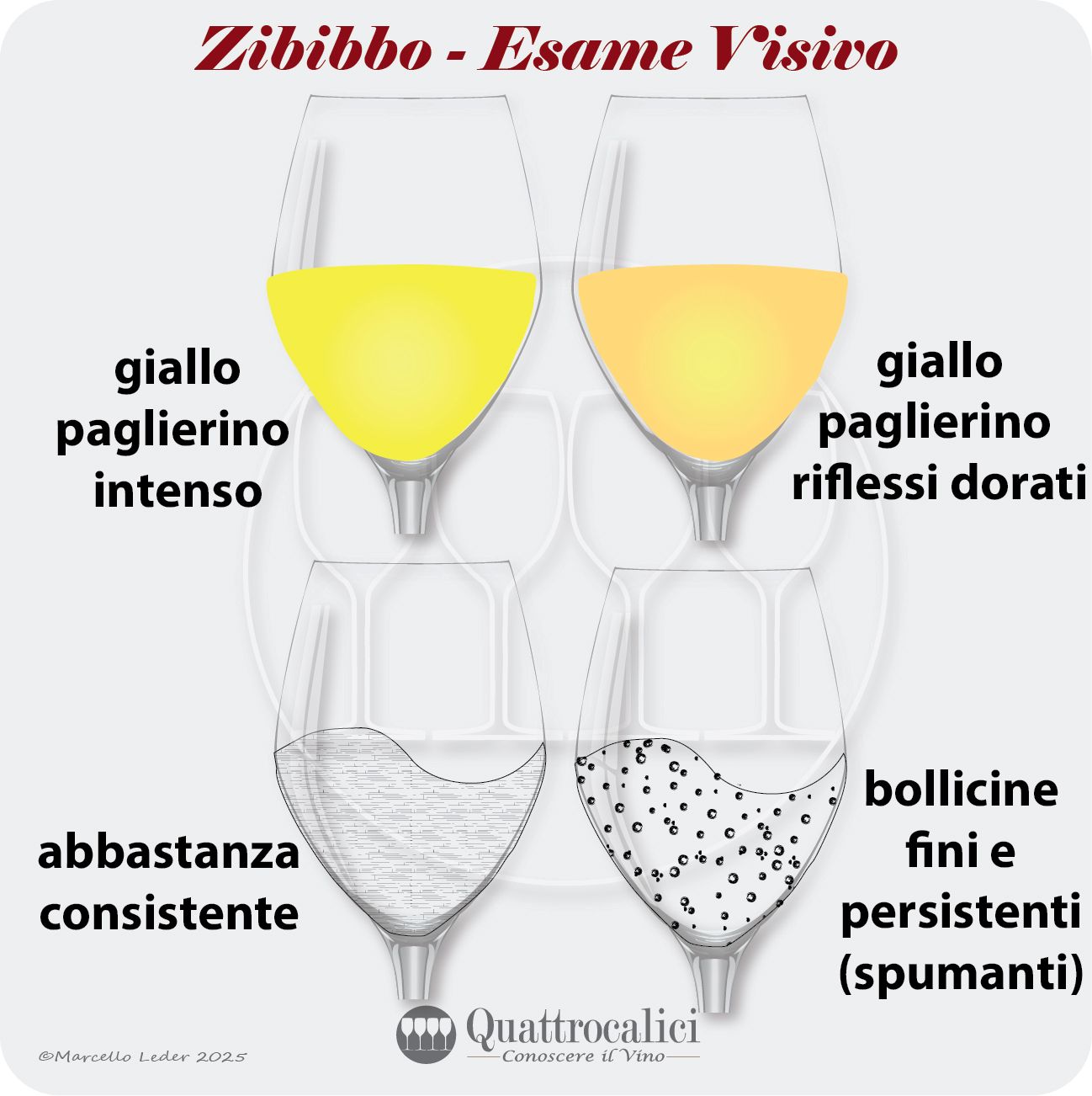 L'esame visivo dei vini Zibibbo