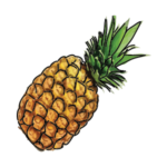 Ananas