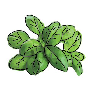 Basilico