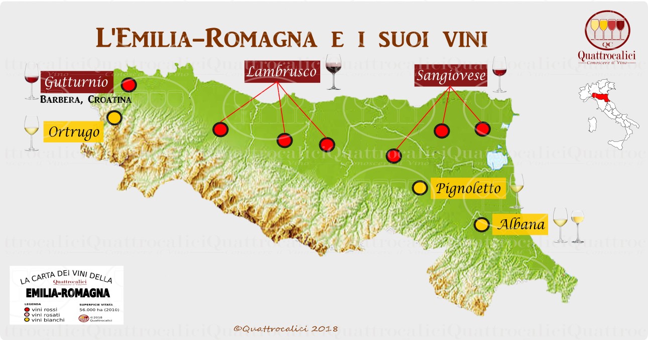 I vini dell' Emilia Romagna