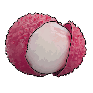Litchi