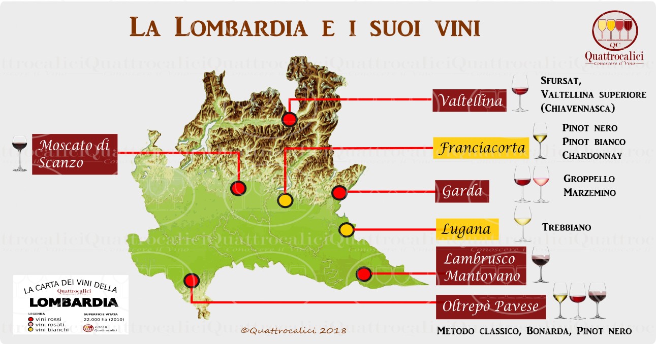 i vini dalla lombardia