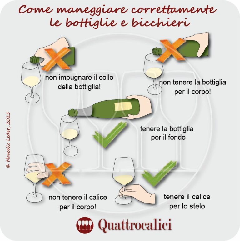 sommelier - mageggiare bottiglie e bicchieri