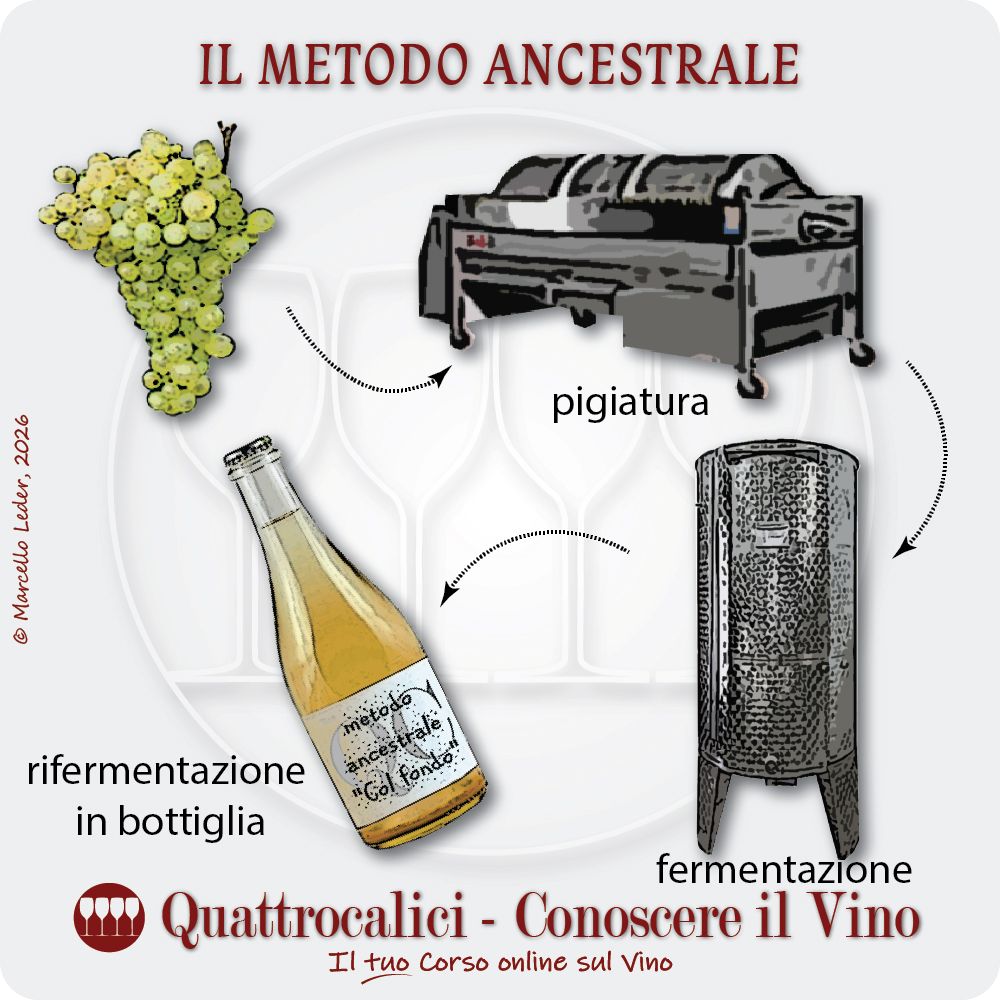 Il metodo ancestrale per la spumantizzazione dei vini