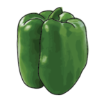 Peperone verde