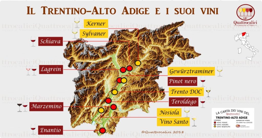 Il vino in Trentino-Alto Adige - Quattrocalici - Le Regioni del Vino