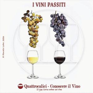 I vini passiti, zone di produzione, pratiche di cantina e caratteristiche organolettiche
