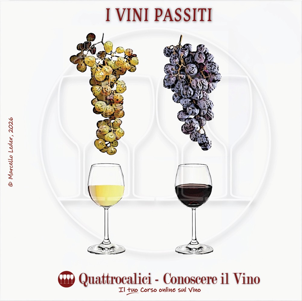 I vini passiti, zone di produzione, pratiche di cantina e caratteristiche organolettiche