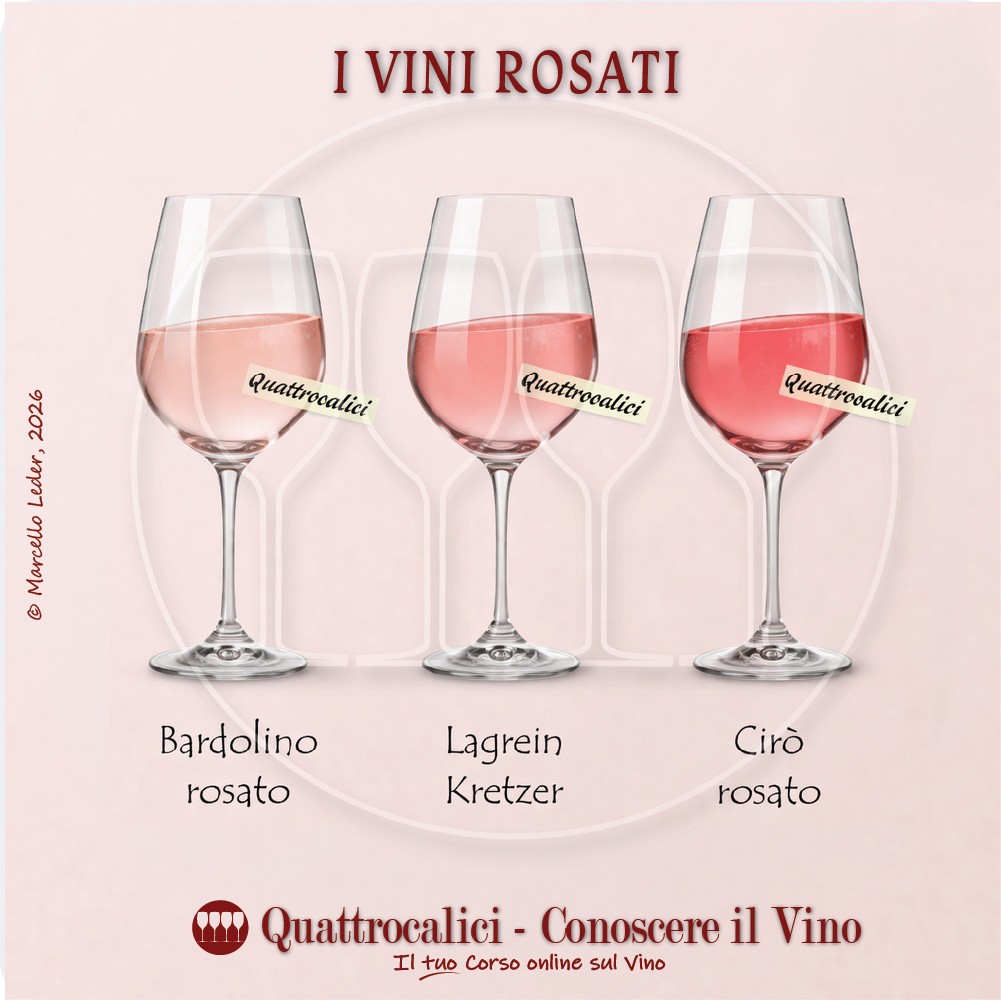 conoscere i vini rosati