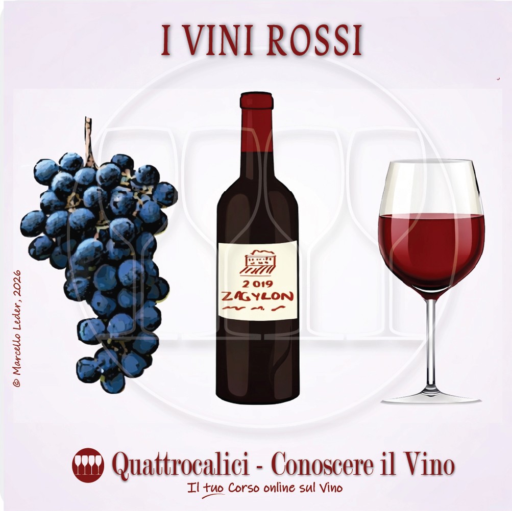 I vini rossi: tipologie e caratteristiche