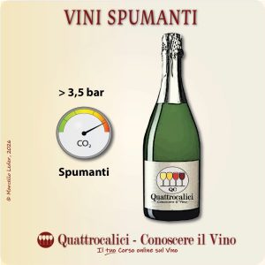 vini spumanti, caratteristiche e metodi di elaborazione