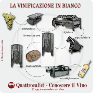 La vinificazione in bianco