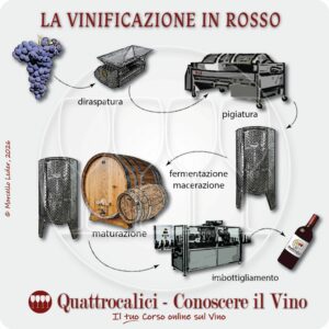 La vinificazione in rosso