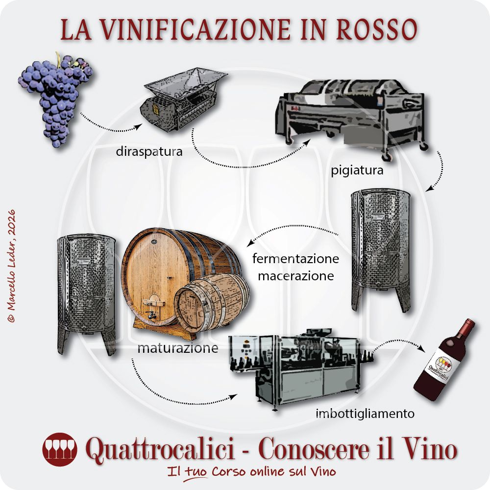 La vinificazione in rosso