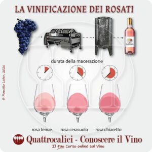 La Produzione dei Vini Rosati