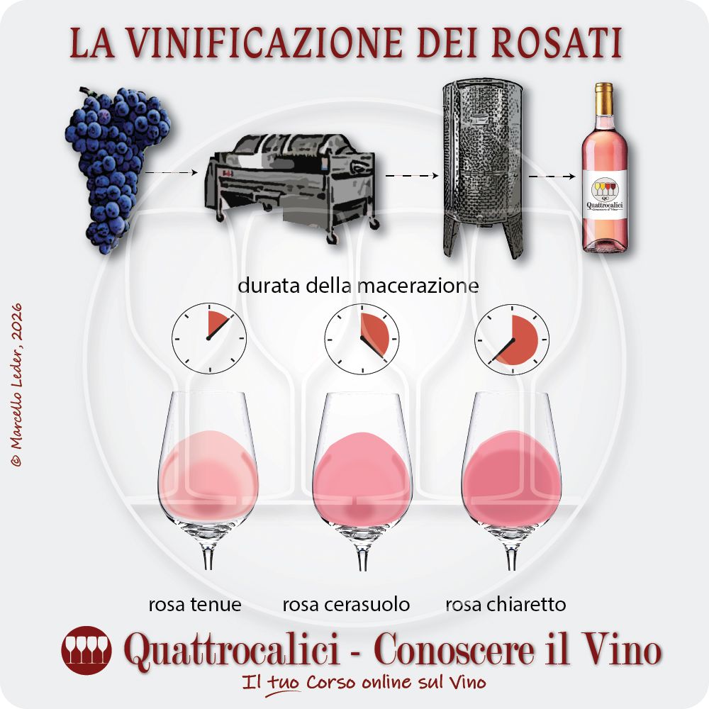 La Produzione dei Vini Rosati