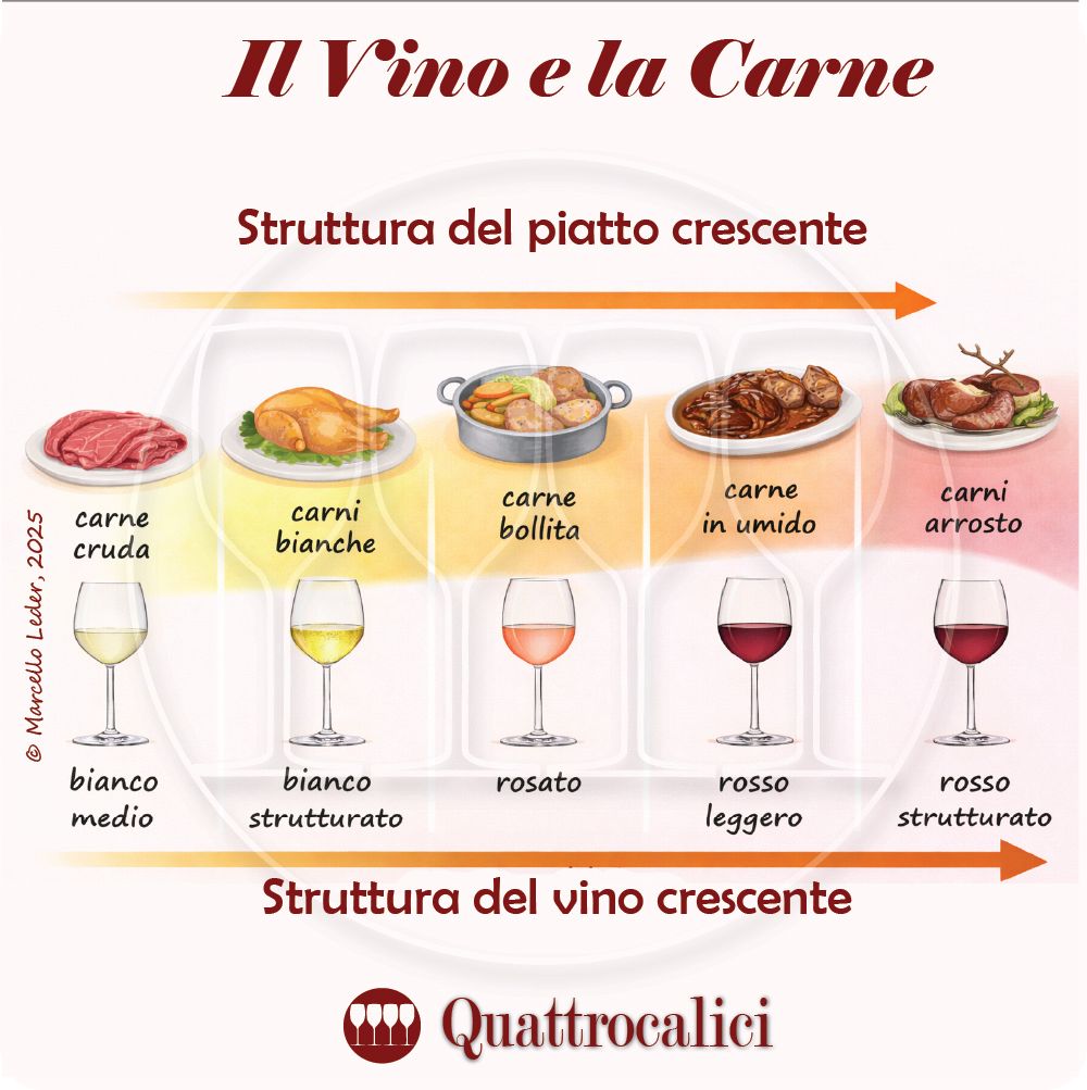 abbinamento della carne col vino