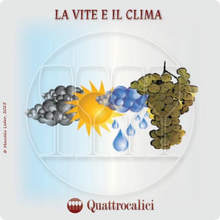 la vite e il clima