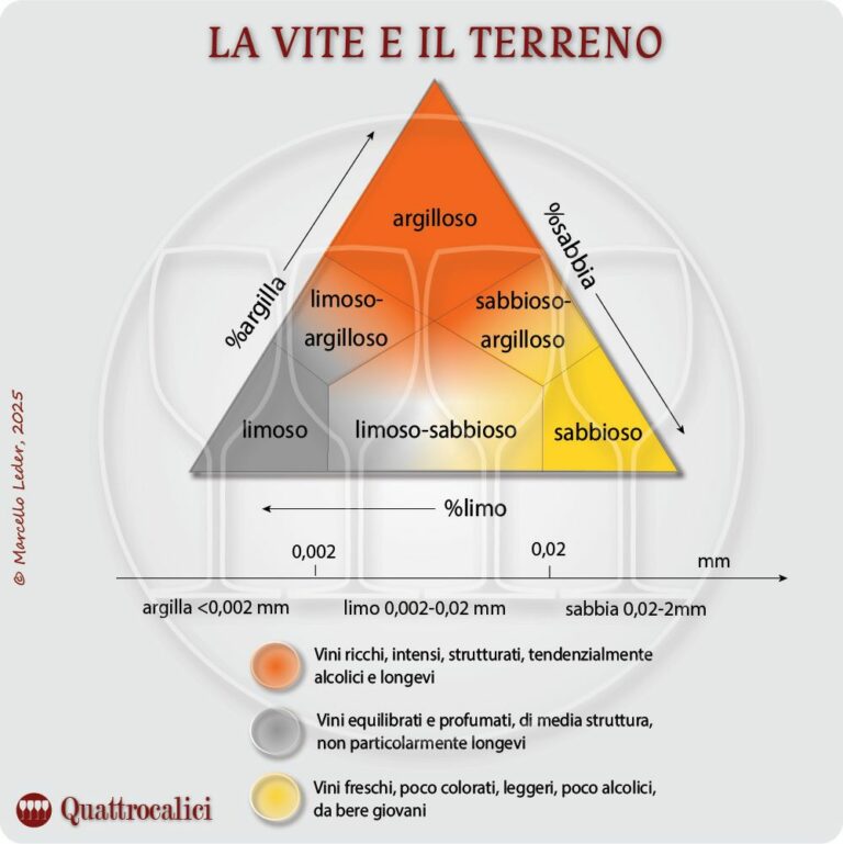 Le caratteristiche del terreno e la coltivazione della vite