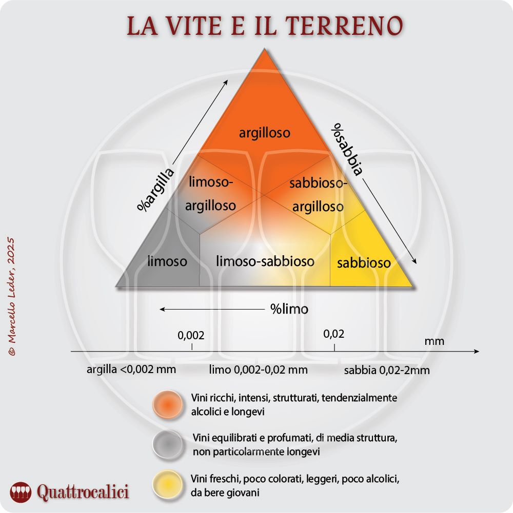 Le caratteristiche del terreno e la coltivazione della vite