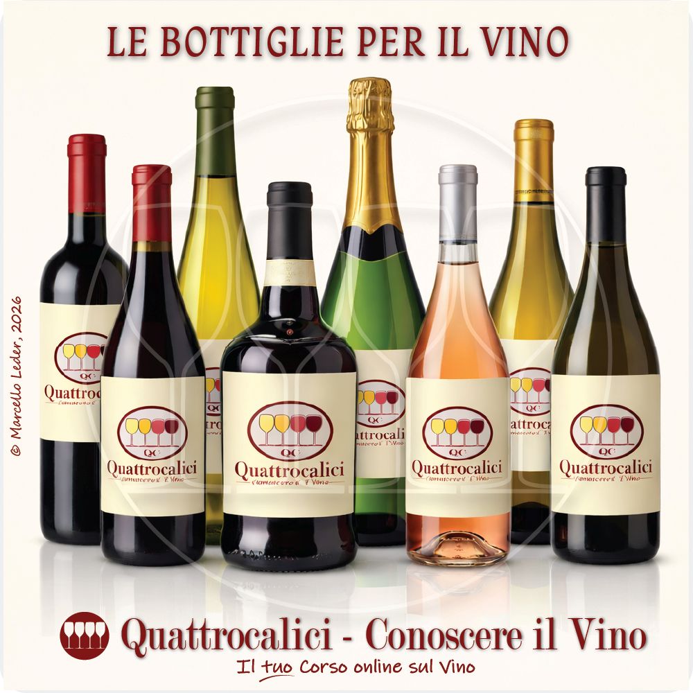 Le Bottiglie per il Vino