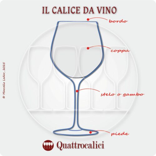 elementi del calice per la degustazione del vino