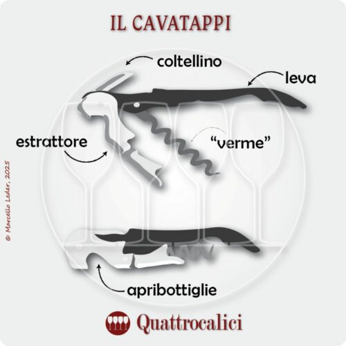 Il cavatappi nel servizio del vino