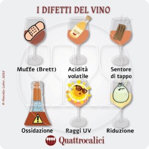 Difetti e malattie del vino