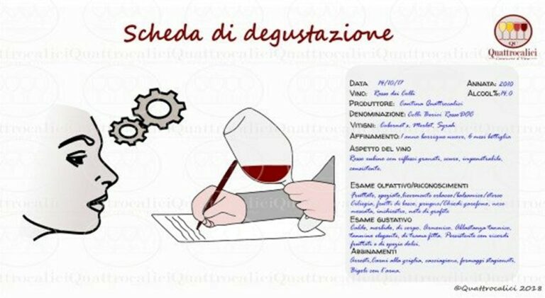 scheda degustazione vino