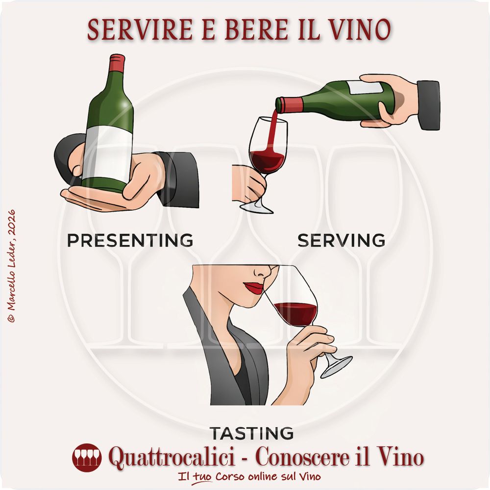 servire e bere il vino