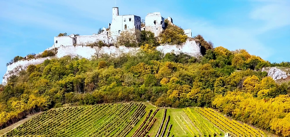 austria-vino