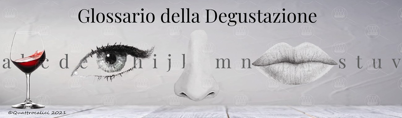 glossario della degustazione