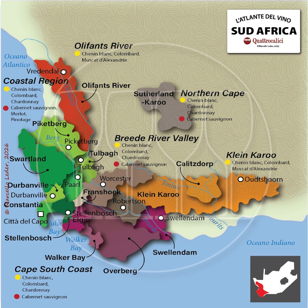 vino e viticoltura in sudafrica