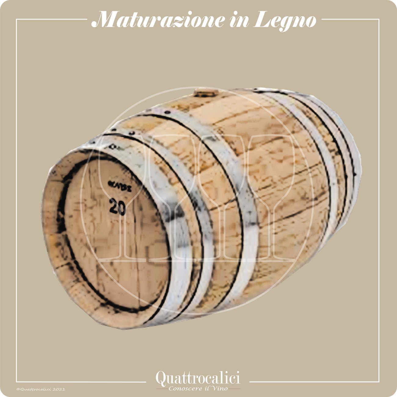 maturazione in legno vino