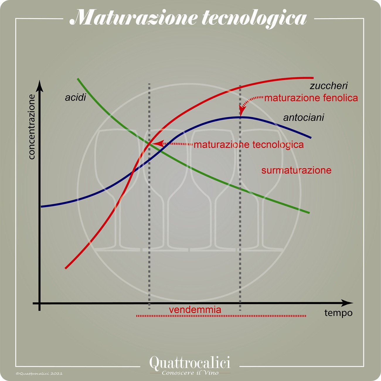 maturazione tecnologica