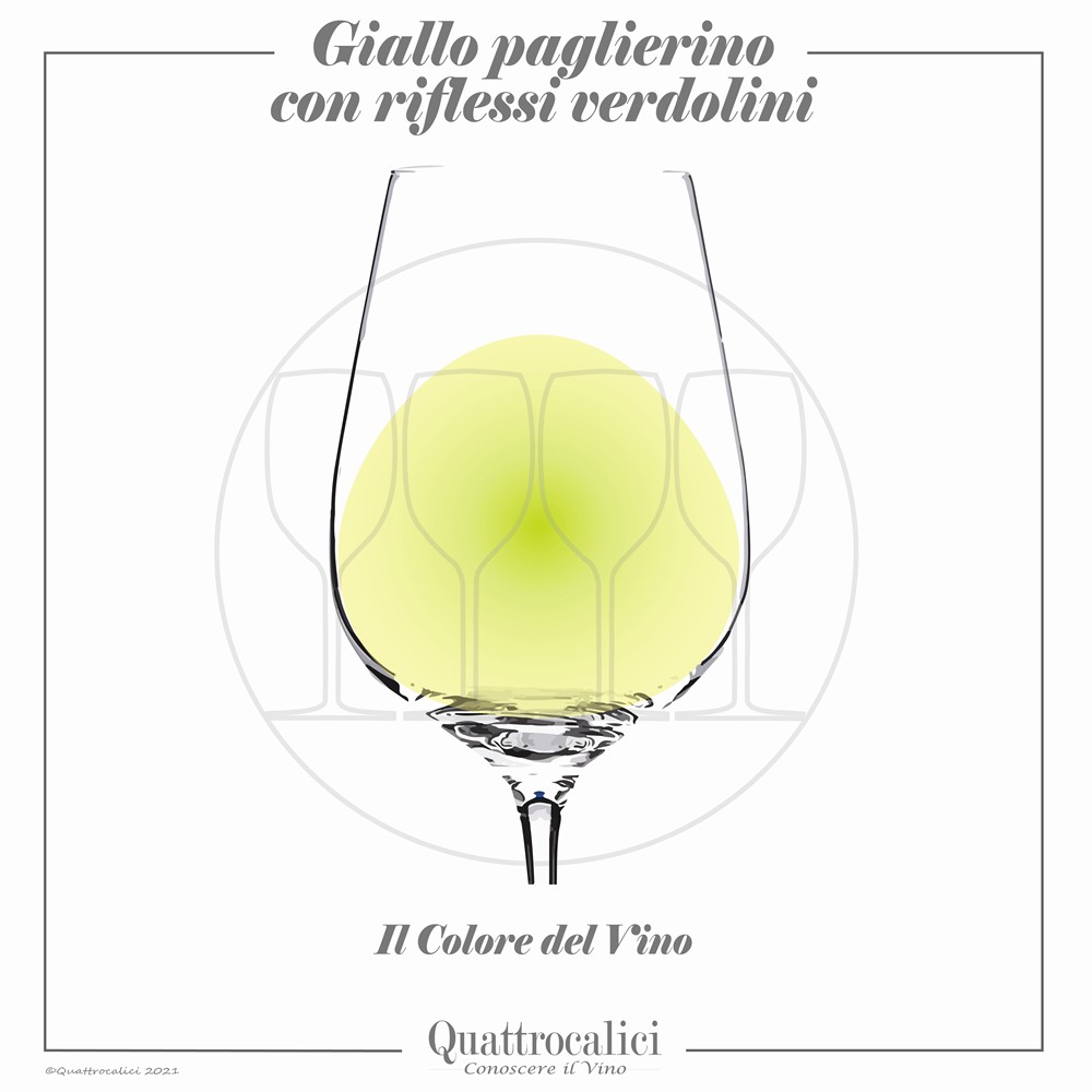 vino di colore giallo paglierino con riflessi verdolini